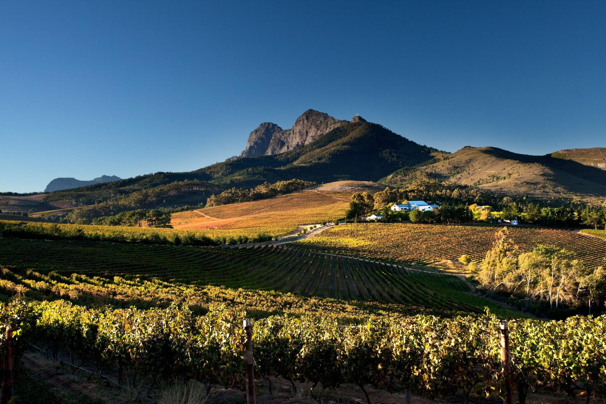 Marianne Wine Estate Klapmuts Exterior foto