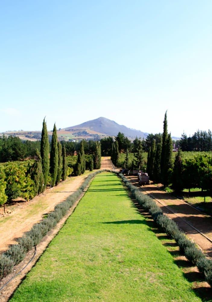 Marianne Wine Estate Klapmuts Exterior foto