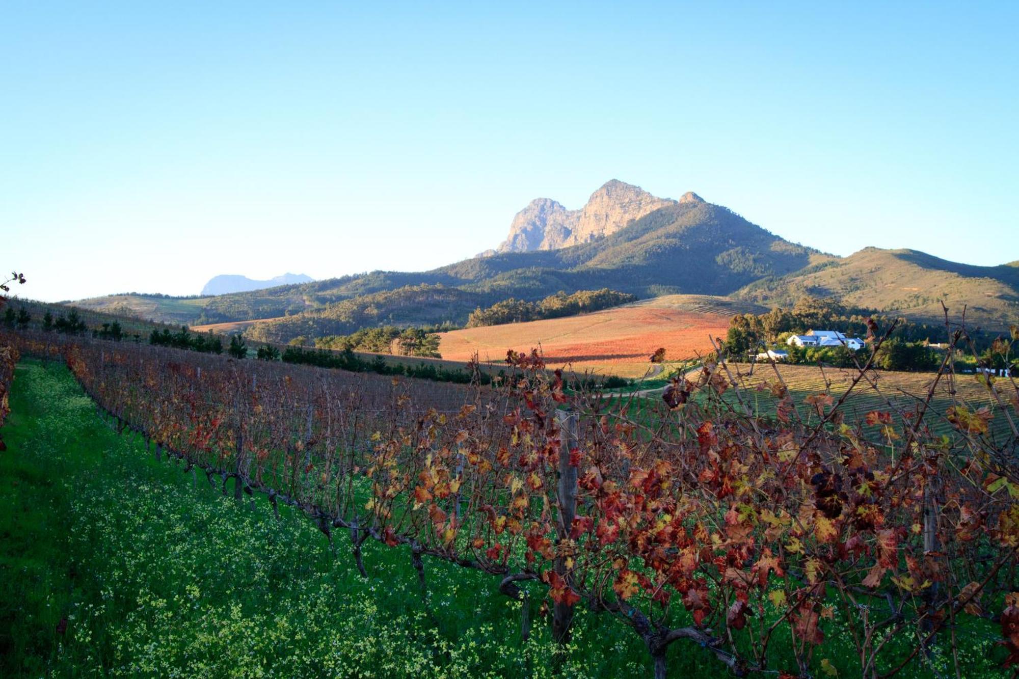 Marianne Wine Estate Klapmuts Exterior foto