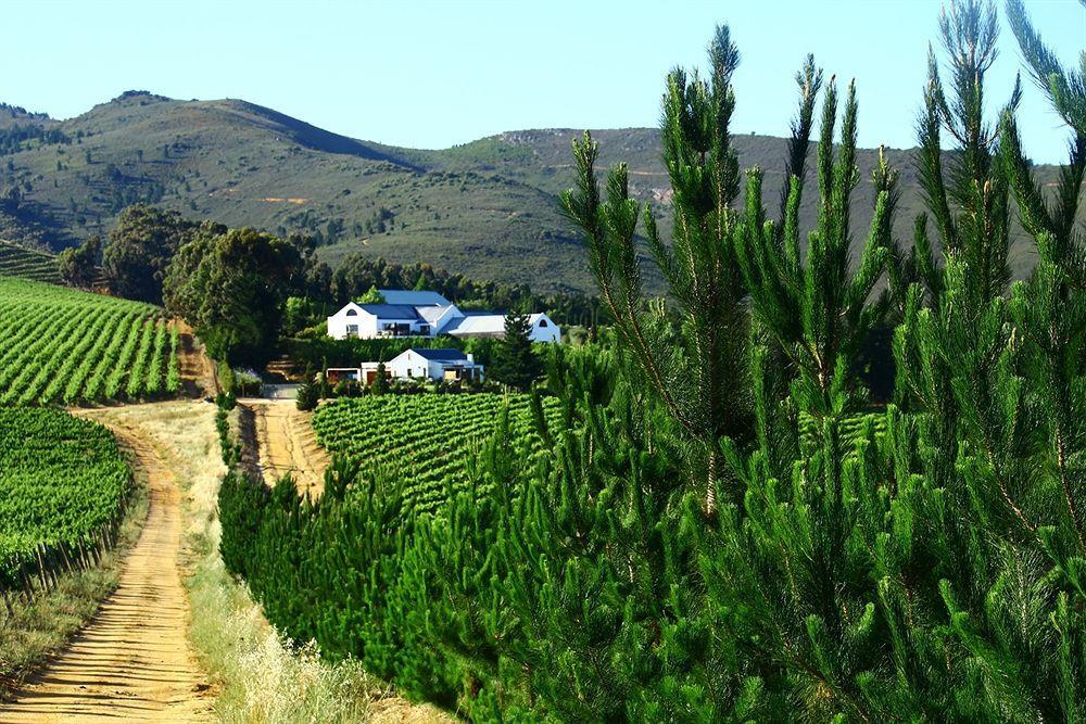 Marianne Wine Estate Klapmuts Exterior foto