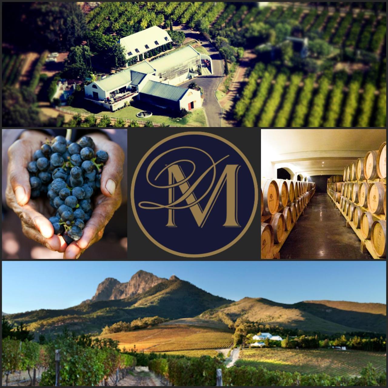 Marianne Wine Estate Klapmuts Exterior foto