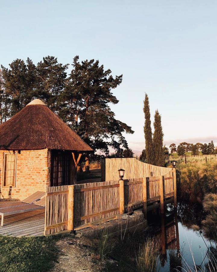 Marianne Wine Estate Klapmuts Exterior foto